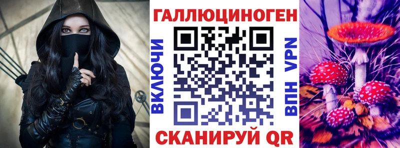 Псилоцибиновые грибы GOLDEN TEACHER  Купить закладки  Советская Гавань 